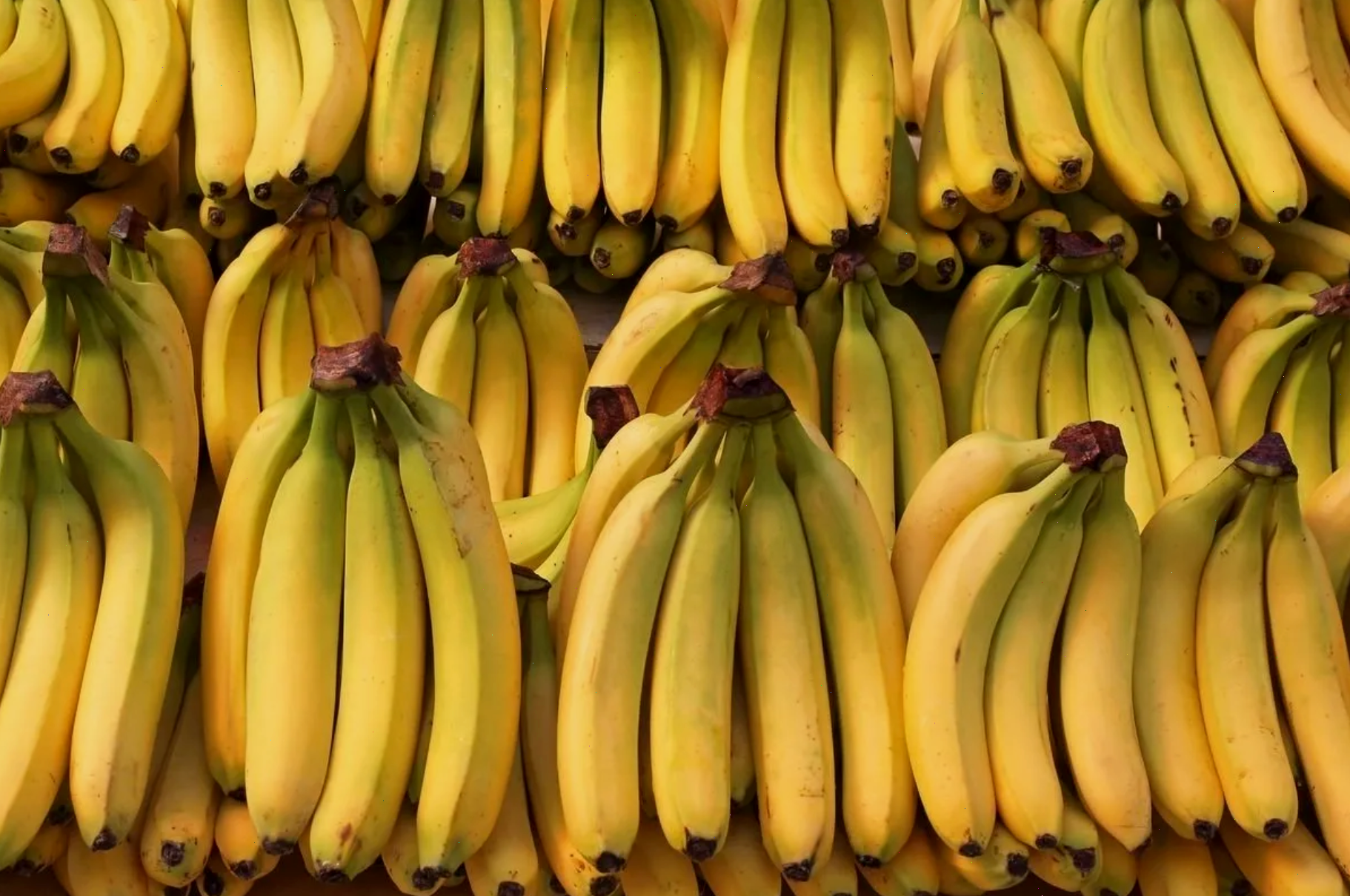 Natürliches Wohlbefinden